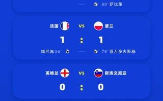 雷速官网-芬兰备战欧洲杯资格赛：芬兰VS保加利亚