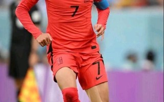 雷速官网下载-岸奥认同，助球队晋级十六强