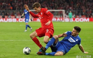 雷速官网-霍芬海姆客场不敌拜仁慕尼黑，形势堪忧