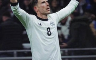 雷速官网下载-葡萄牙比赛战胜对手，爱尔兰遗憾止步