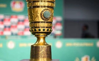 雷速官网-勒沃库森队获得一场惊险胜利