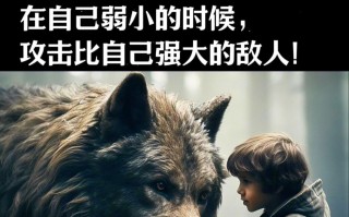 雷速直播-狼堡遭受挑战，困境中寻找突破