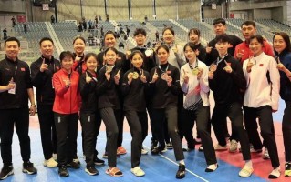 雷速官网下载-日本跆拳道运动员一举夺得金牌，感动全场