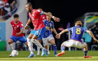 雷速官网下载-突尼斯全力以赴，逼平西班牙