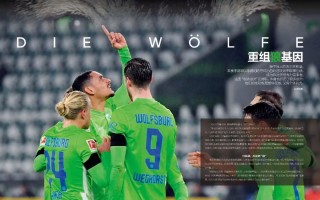 雷速官网-沃尔夫斯堡走势稳健，逐渐升至前十