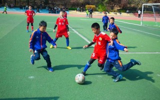 雷速直播-展开紧张！国内足球赛事的精彩瞬间