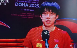 雷速官网下载-瑞典战胜对手晋级半决赛，实力备受关注