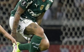 雷速官网-南美洲国家队夺得卫冕冠军头衔