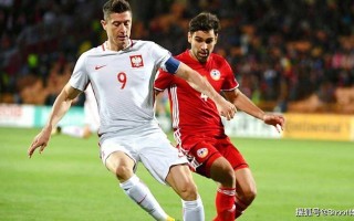 雷速官网-喀麦隆队全面击败对手，欧预赛势如破竹