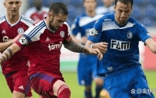 雷速-汉诺威96主场不敌对手，德甲保级形势严峻