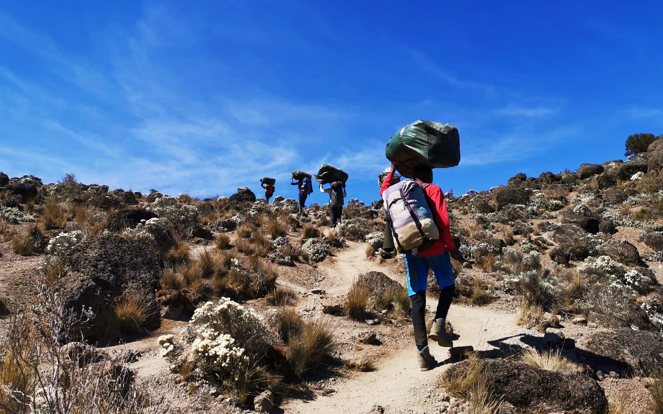 雷速官网-埃及迎战科特迪瓦,非洲之巅之战-第1张图片-雷速官网 雷速官网-埃及迎战科特迪瓦,非洲之巅之战-第1张图片-雷速官网