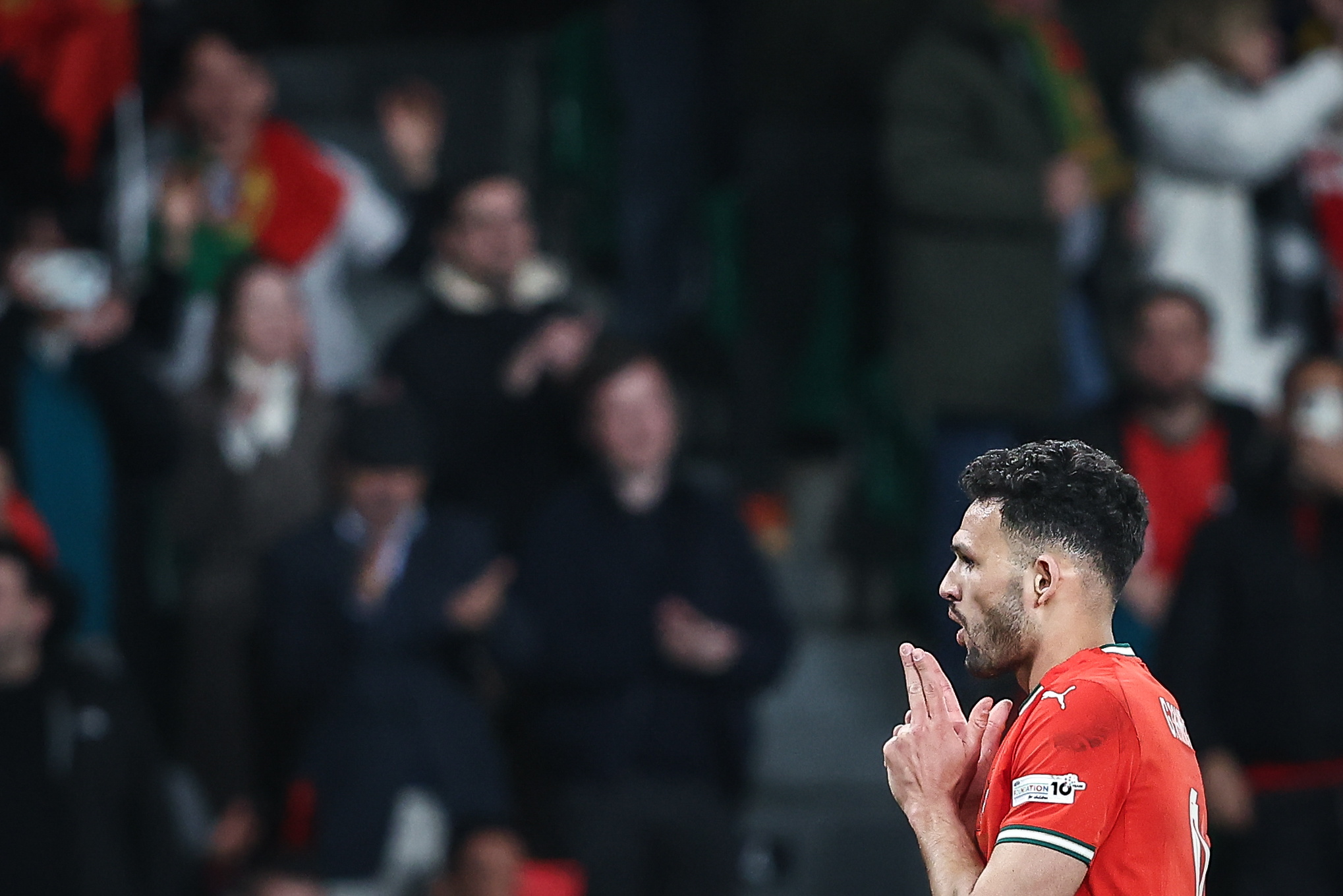 雷速官网下载-葡萄牙比赛战胜对手，爱尔兰遗憾止步-第2张图片-雷速官网