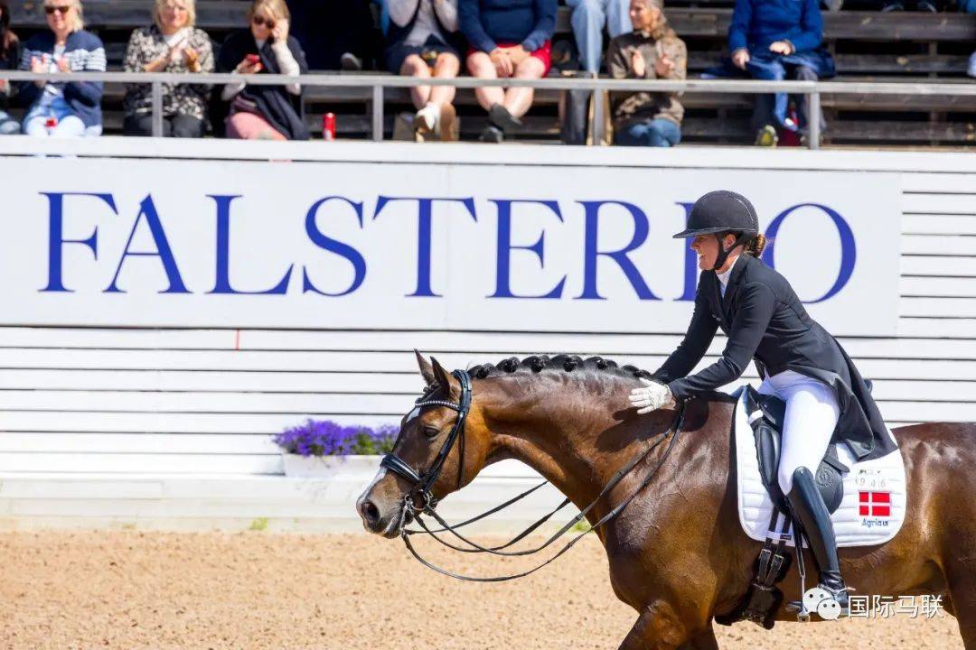 雷速官网-瑞典战胜丹麦，晋级2022年欧锦赛八强赛-第2张图片-雷速官网