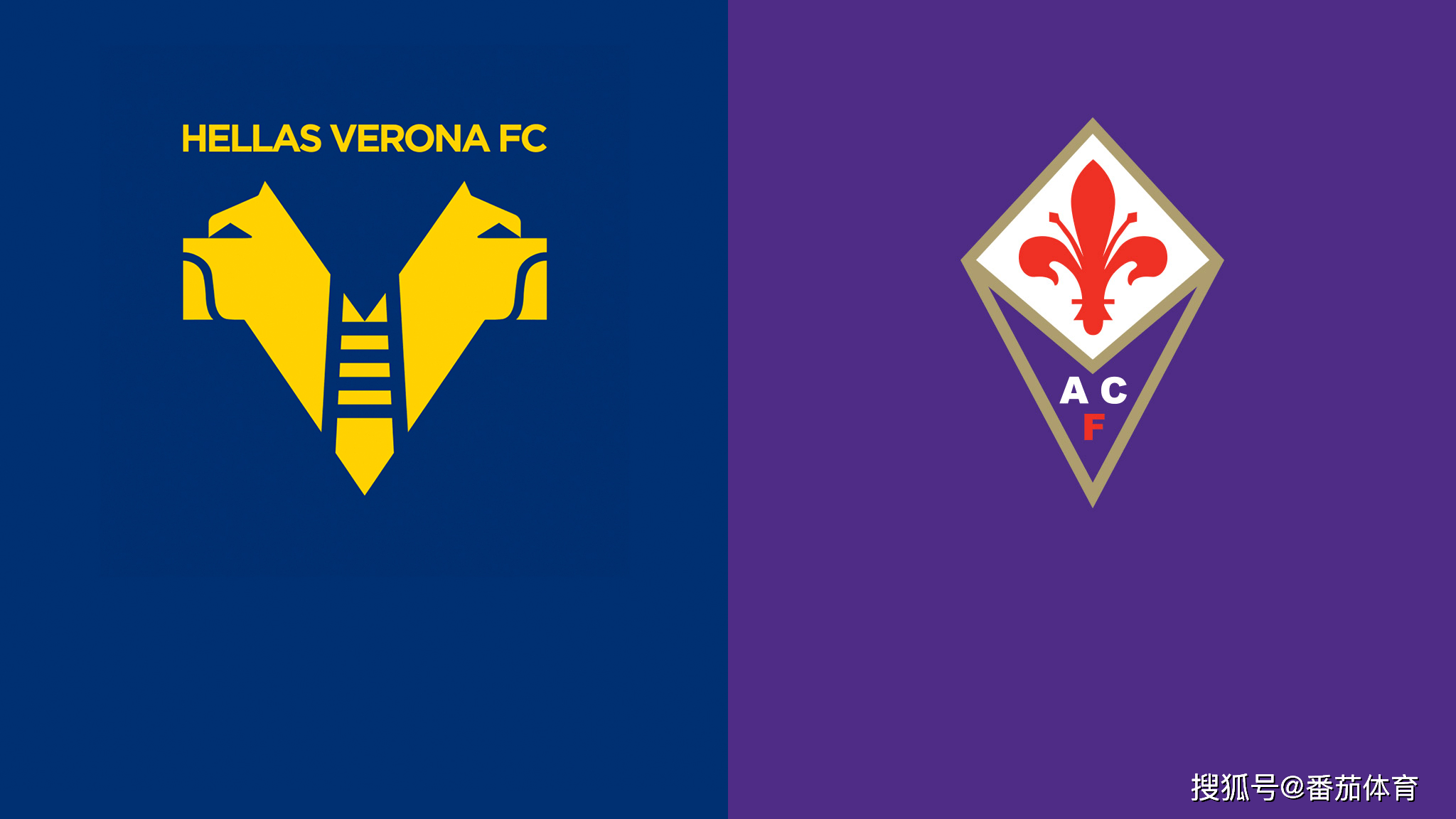 雷速官网-佛罗伦萨全面启动备战模式，维罗纳需迅速调整状态-第1张图片-雷速官网