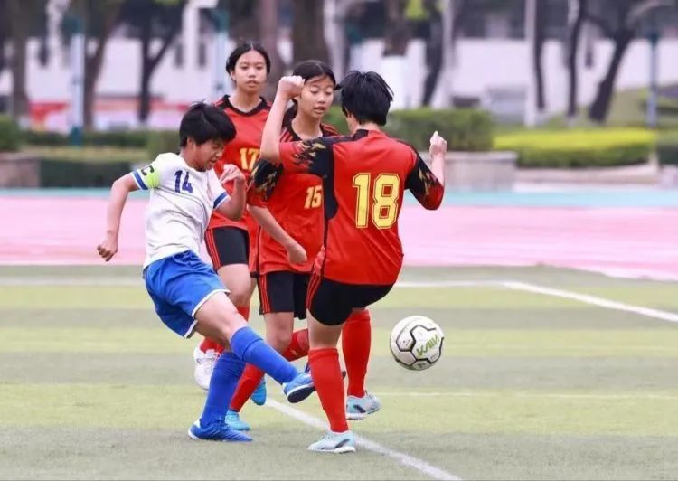 雷速官网下载-国内女足联赛精彩纷呈，各队展现特色-第1张图片-雷速官网