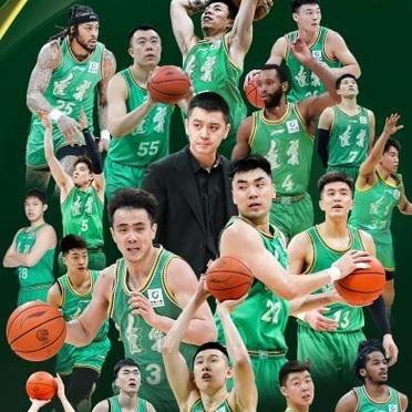 雷速官网下载-河南男篮战胜对手，积分榜排名稳健-第2张图片-雷速官网