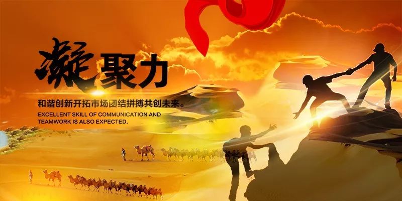 雷速官网下载-猛龙队球员间关系剖析，团队凝聚力是否会有所提升-第1张图片-雷速官网
