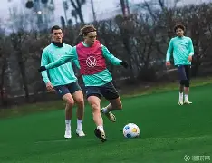 雷速官网下载-勒沃库森神秘来袭,挑战领头羊-第2张图片-雷速官网 雷速官网下载-勒沃库森神秘来袭,挑战领头羊-第2张图片-雷速官网