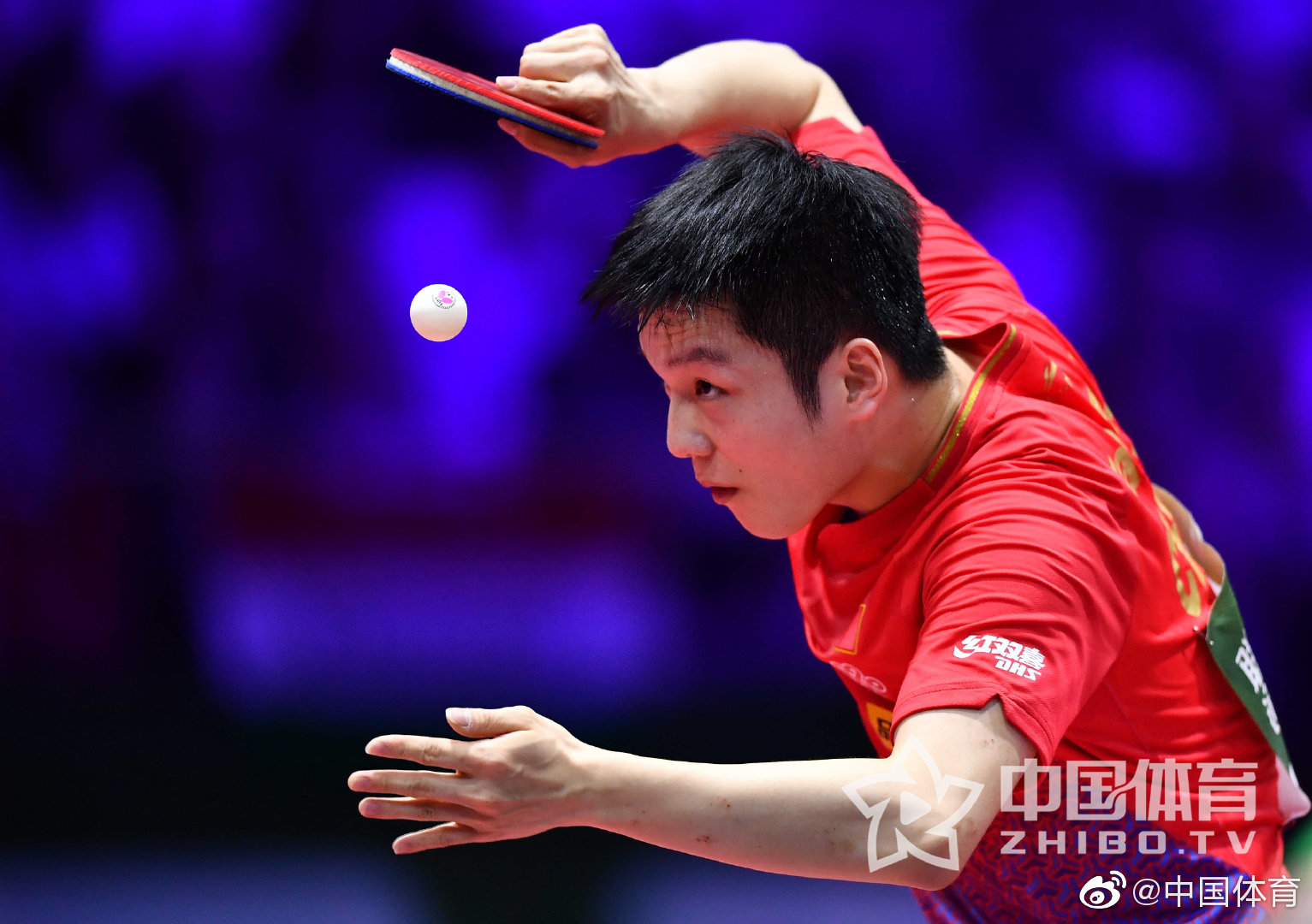 雷速-尼日利亚选手勇夺冠军,刷新记录-第2张图片-雷速官网 雷速-尼日利亚选手勇夺冠军,刷新记录-第2张图片-雷速官网